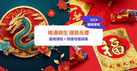 2024年屬豬|【2024豬年】生肖豬2024好運滾滾來！屬豬運勢、幸。